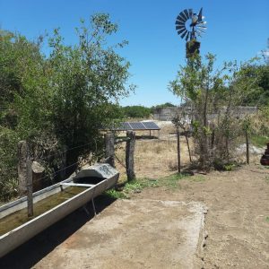 BOMBEO SOLAR